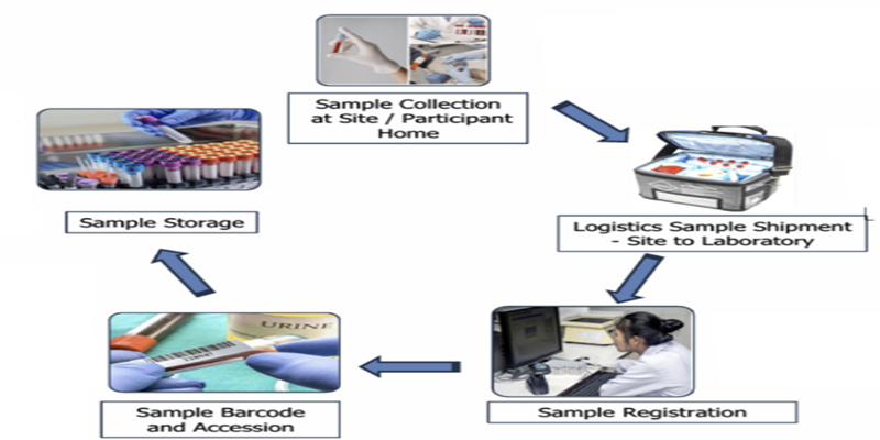 Sample Workflow